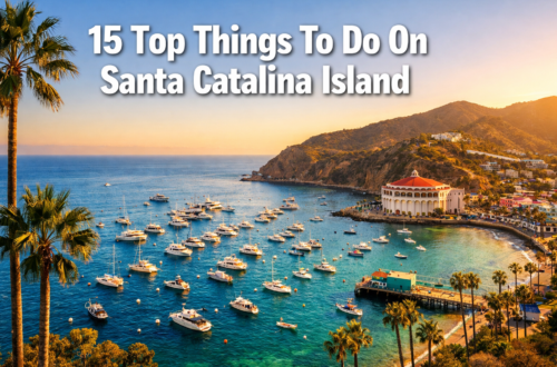 15 Top Things To Do On Santa Catalina Island for First-Time Visitors (Don't Miss #7!)
