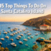 15 Top Things To Do On Santa Catalina Island for First-Time Visitors (Don't Miss #7!)