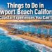 Things to Do in Newport Beach California: 17 Coastal Experiences You Can't Miss