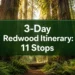 3-Day Redwood National Park Itinerary: 11 Stops You'll Regret Skipping