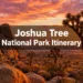 Joshua Tree National Park Itinerary: The Perfect 2 Days Without Wasting a Minute