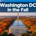 Washington DC in the Fall: The 3-Day Itinerary Built Around Peak Foliage